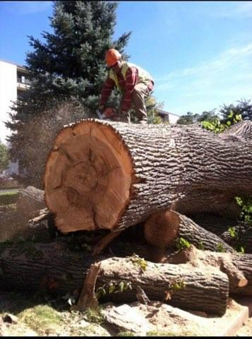 Flowers — South Bend, IN — Double E Tree Service