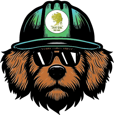 A dog wearing a hard hat and sunglasses.