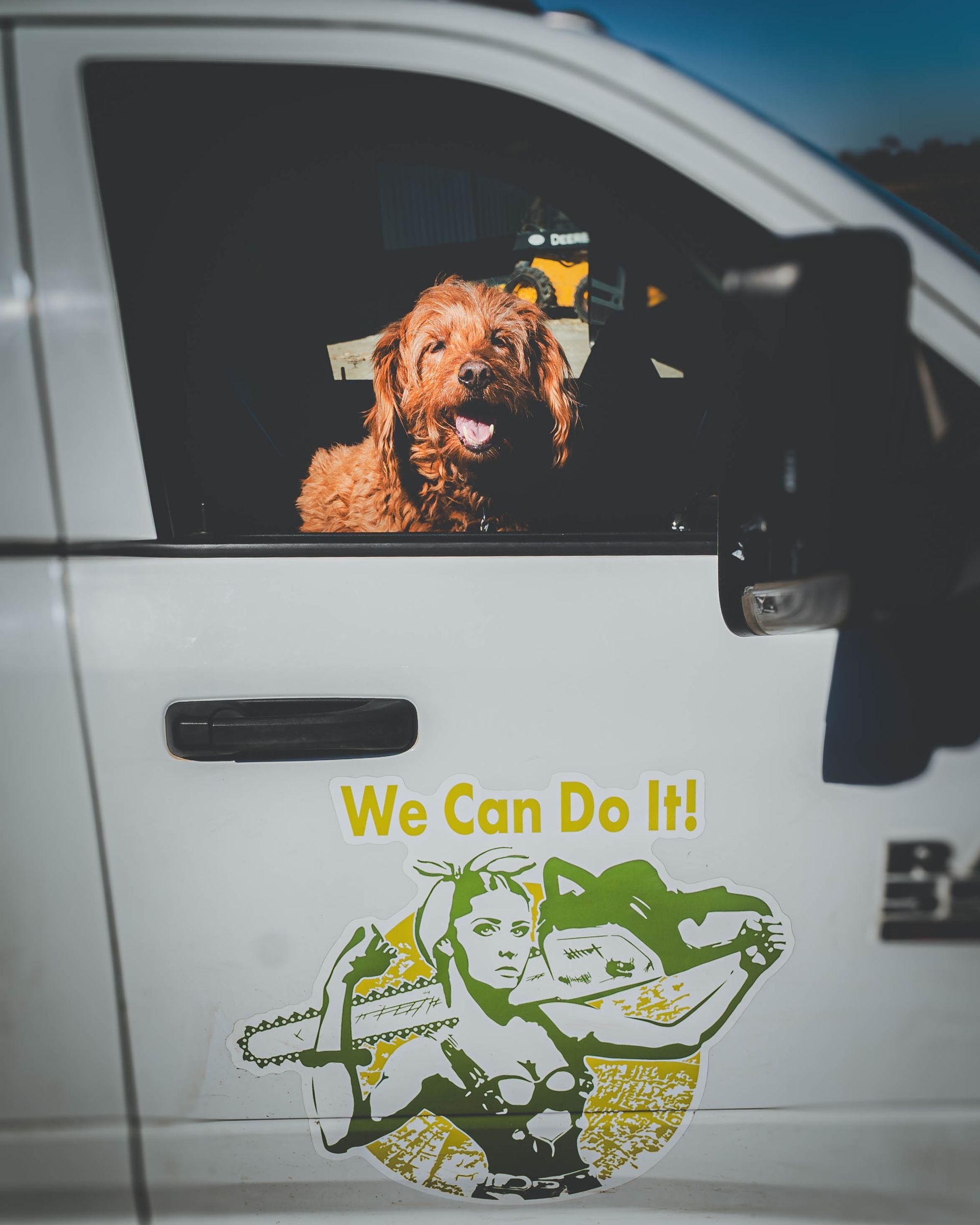 A dog is sitting in the driver 's seat of a truck that says we can do it