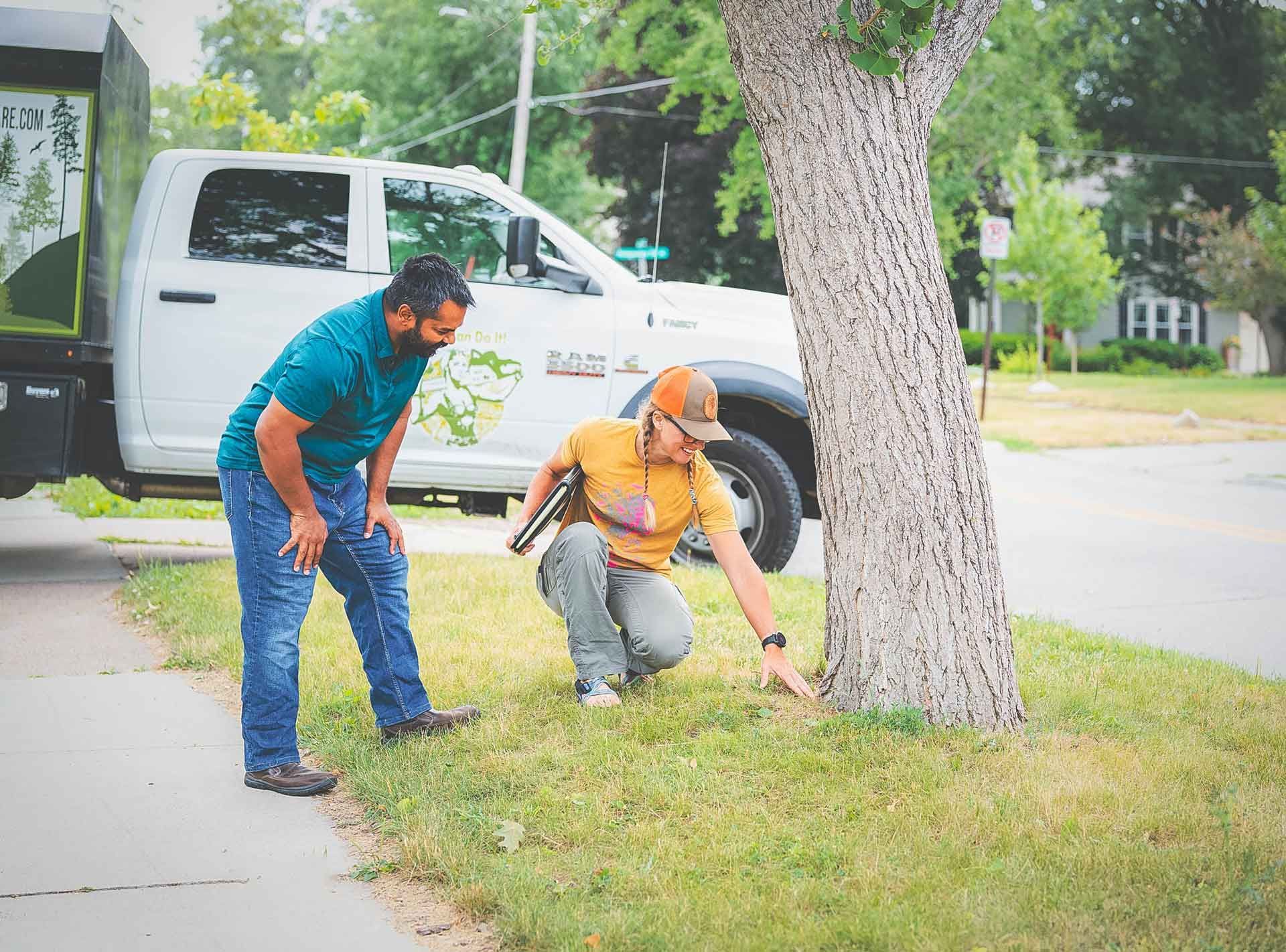 Tree Consulting — Cedar Rapids, IA — That Girl Tree Care
