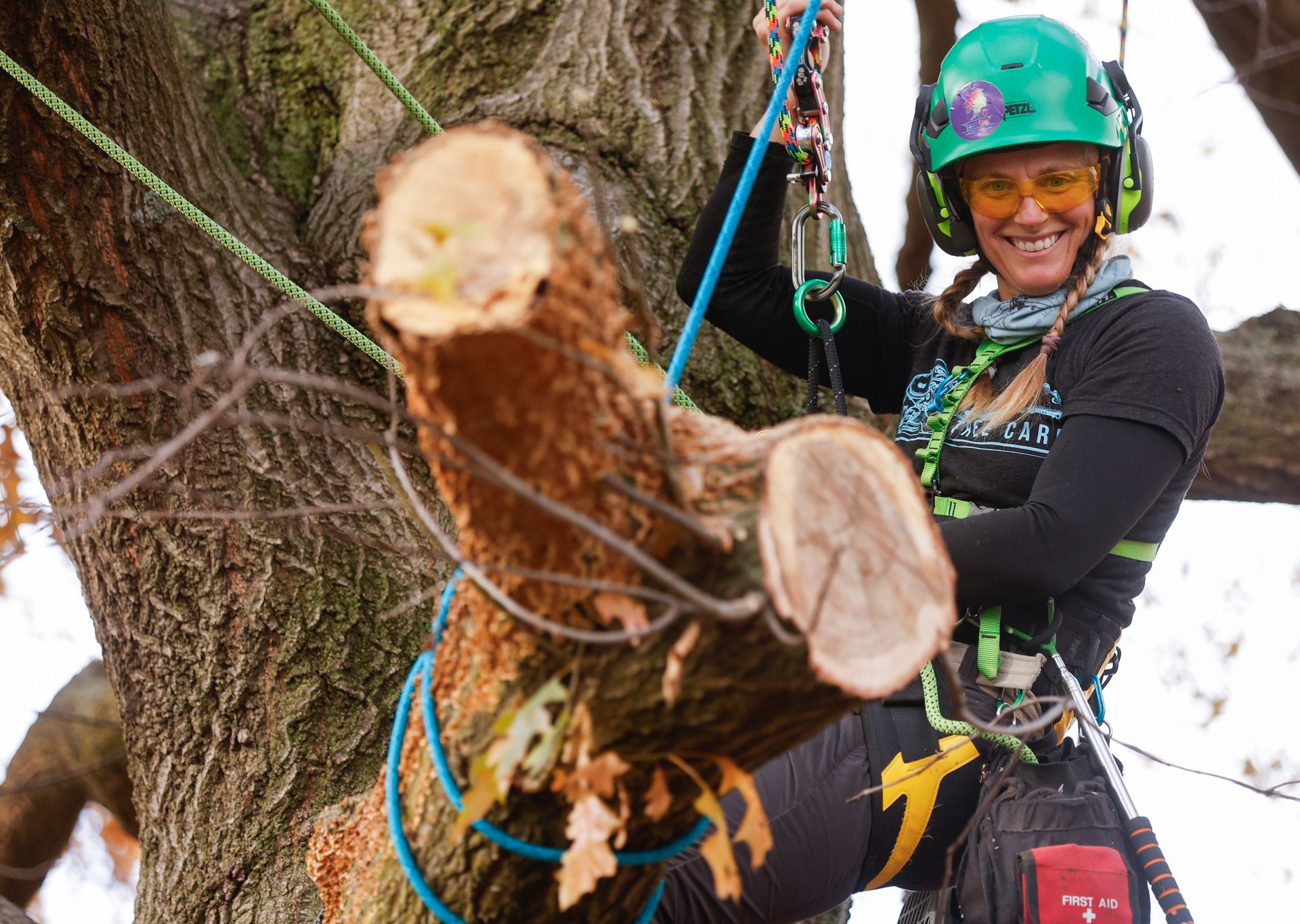 Home or Business Tree Removal Service Iowa, Cedar Rapids, IA | That ...