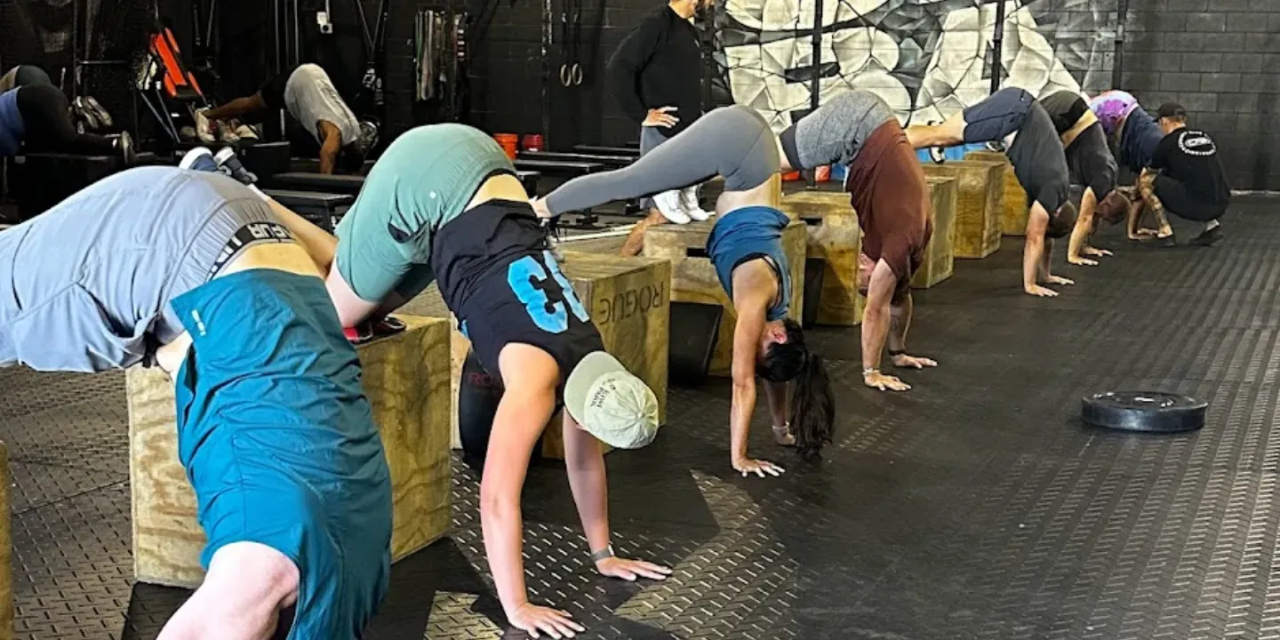 People doing a group stretching exercise on hands and feet in a gym-like space