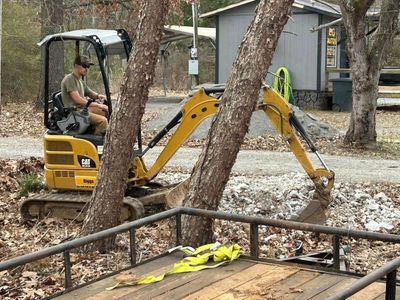 A person operates a yellow mini excavator near trees and a trailer. Outdoors, sunny.