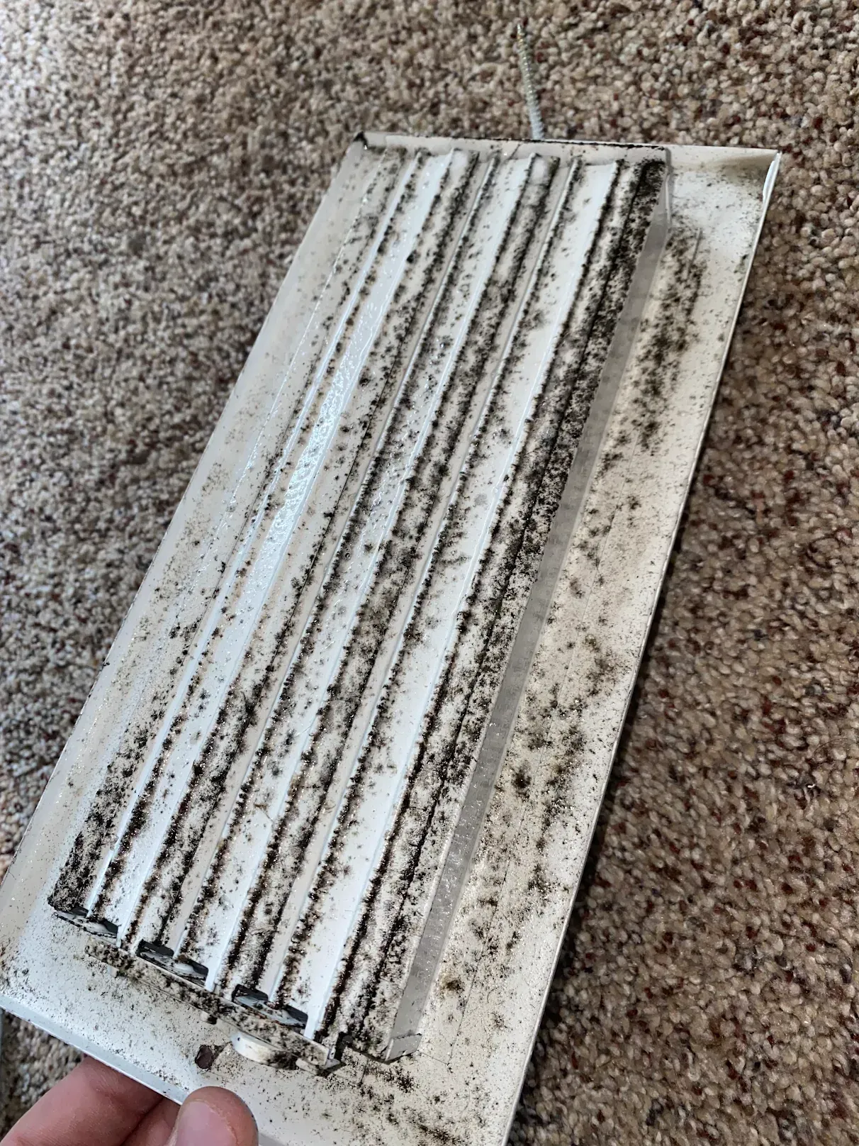 A person is holding a dirty air vent on a carpet.