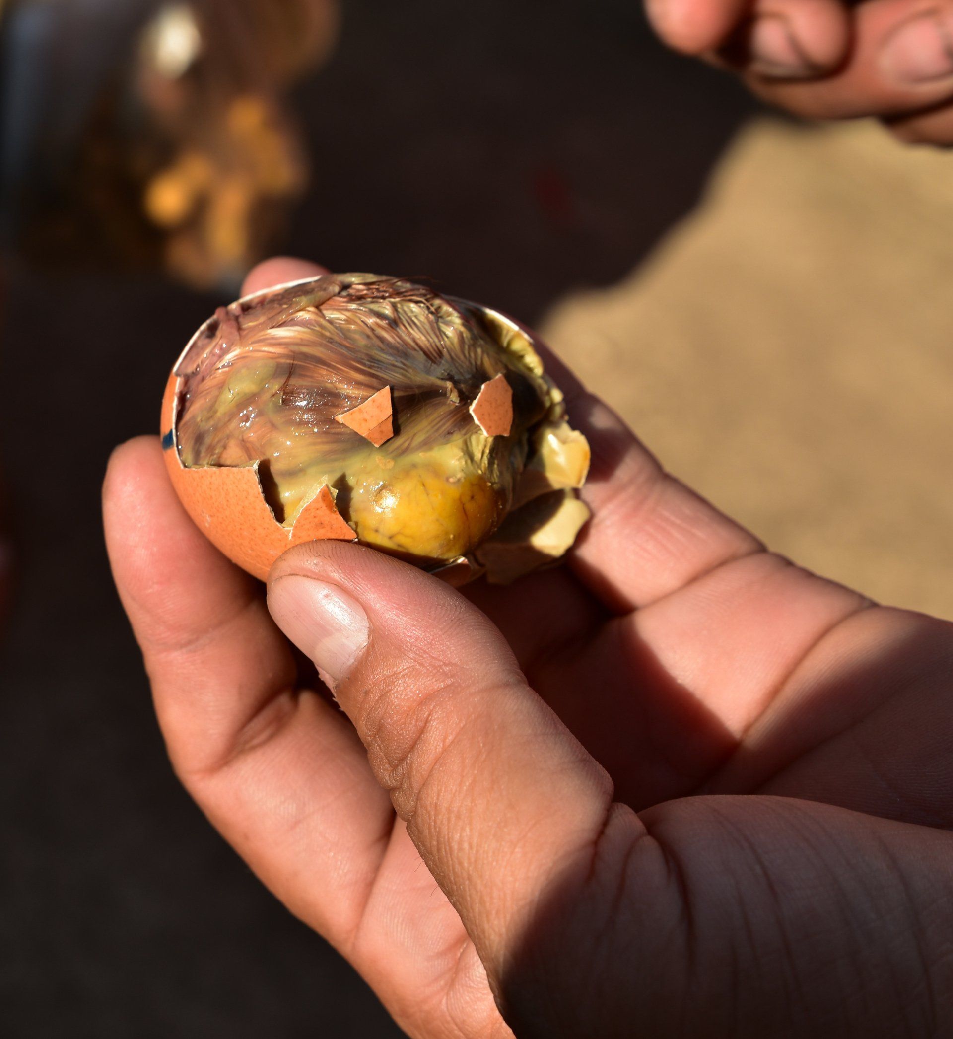 Balut Philippines