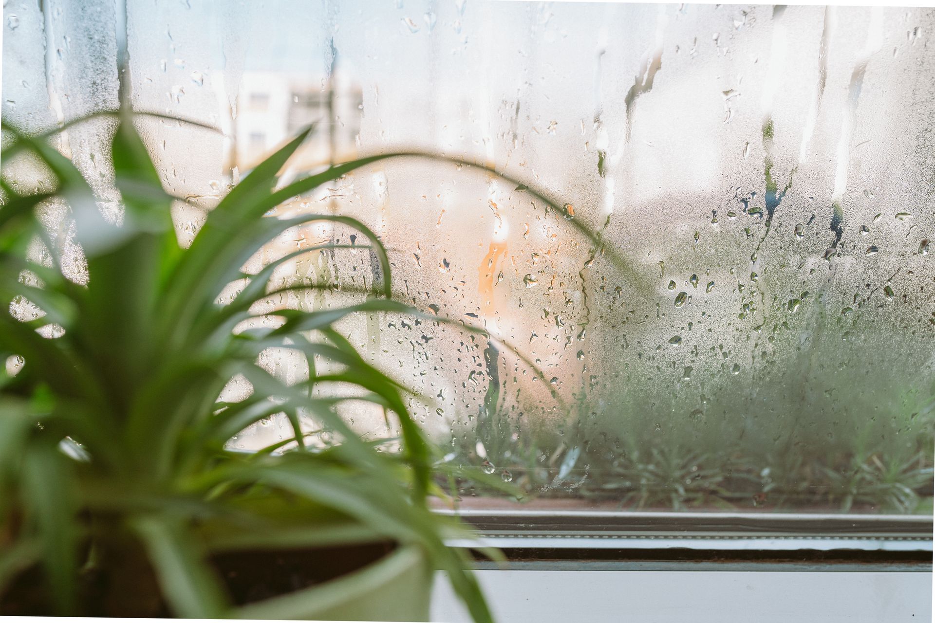 Homeowner checking indoor humidity levels in a Concord California home during winter.