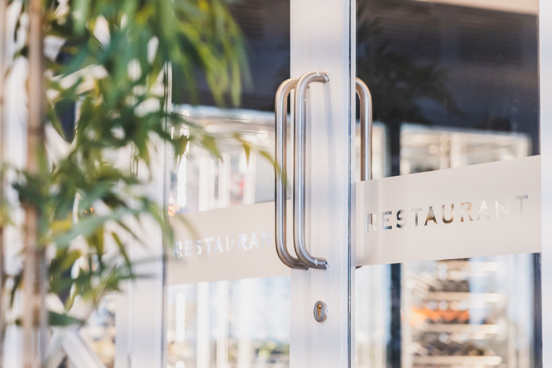 A close up of a glass door with a plant in the background.