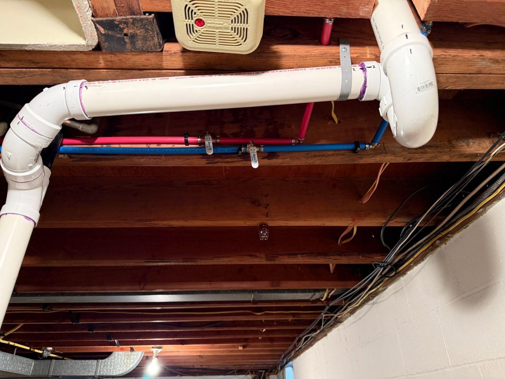 Exposed ceiling plumbing with white PVC pipes, blue and red water lines, and wooden joists in a basement ceiling