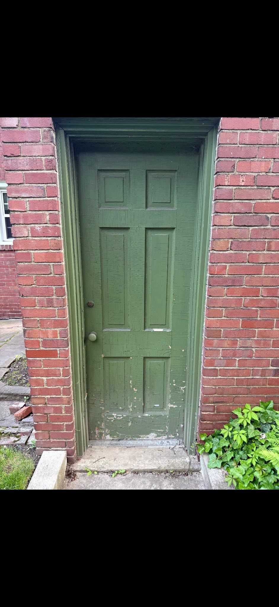 Green door set in a red brick wall, with concrete steps and a small patch of greenery.