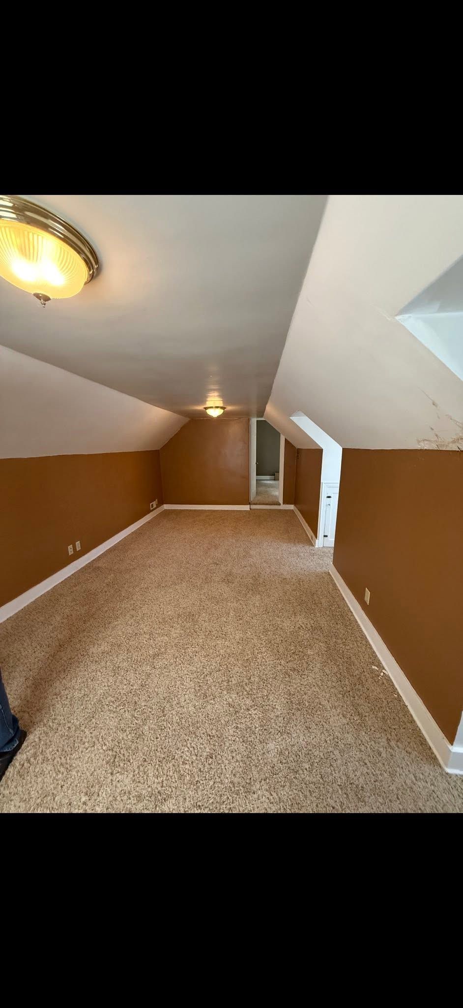Narrow attic hallway with sloped white ceiling, brown walls, carpet runner, and a light fixture.
