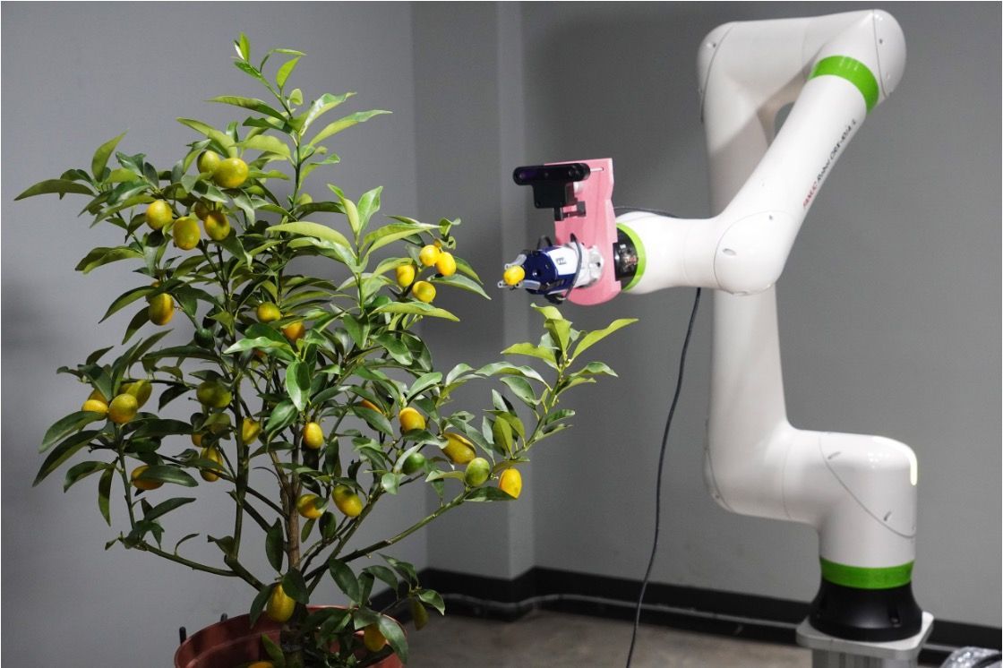 祥陞案例實績,蔬果採摘機器人