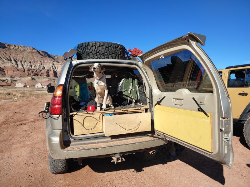 Dog in the open back of a tan SUV in a desert landscape. The vehicle contains storage and spare tire.