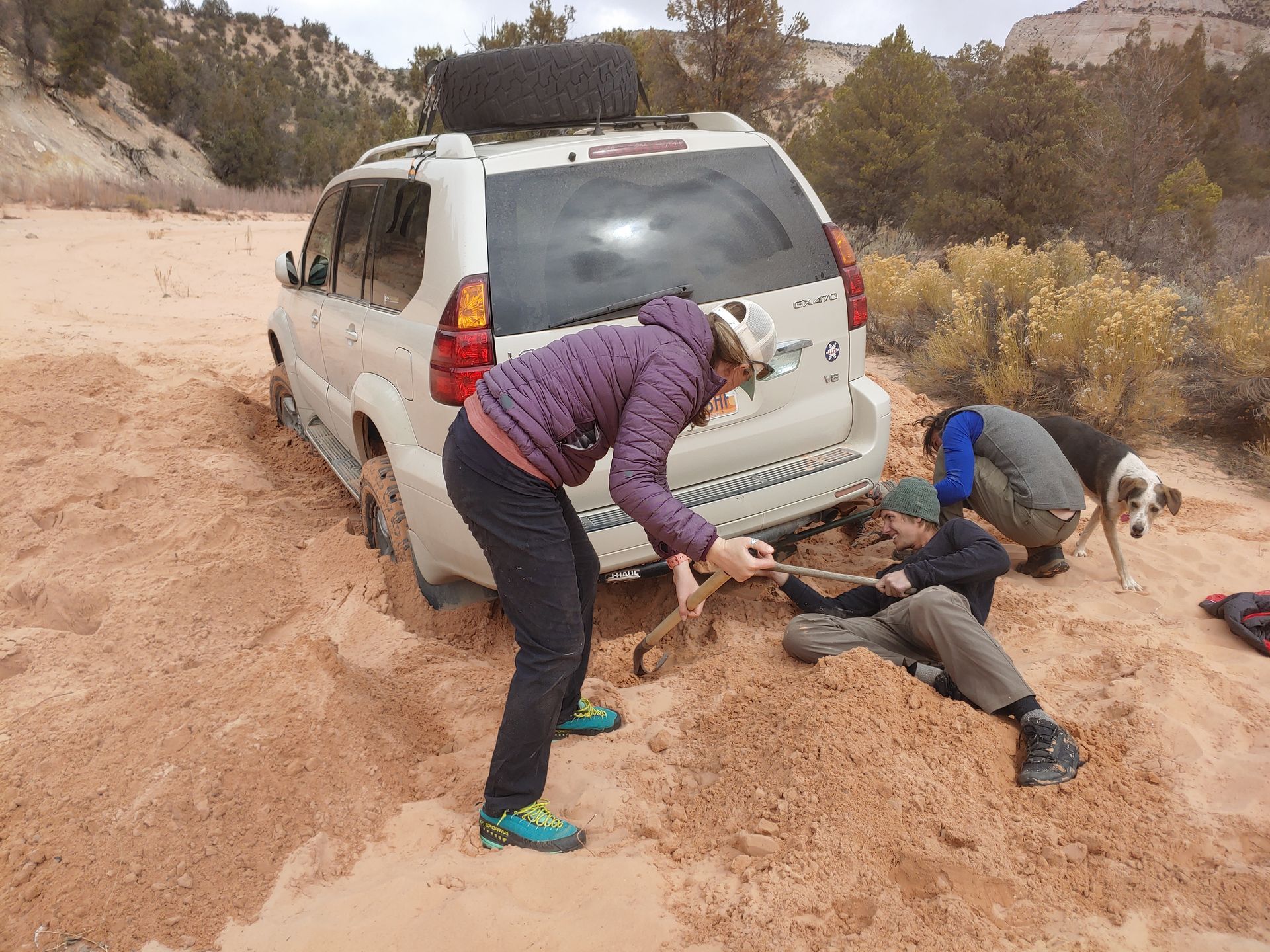 People dig around a white SUV stuck in red sand, dog watches.