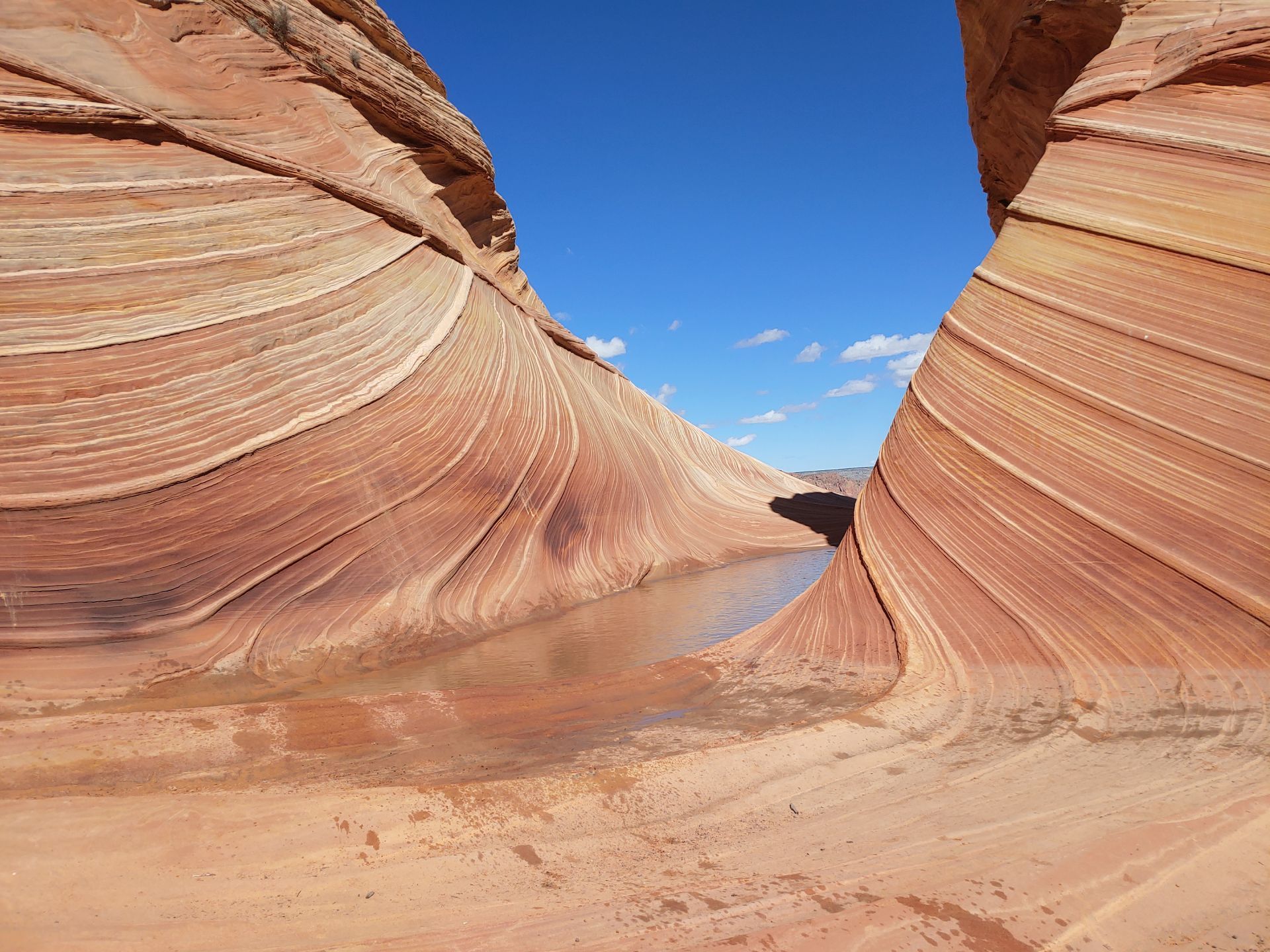 An orange sand stone formation in White Pocket