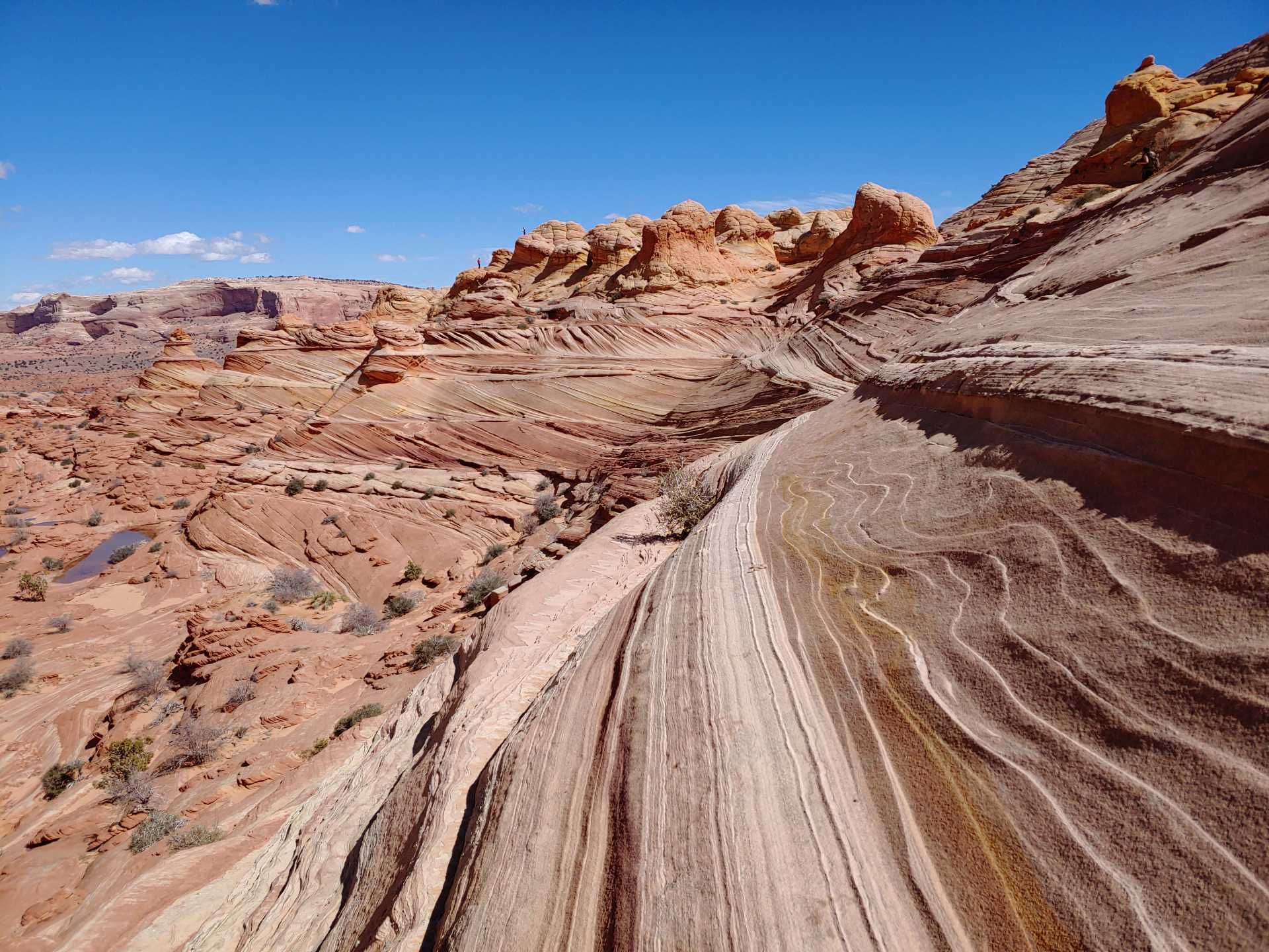 Red and tan sandstone landscape with undulating formations under a clear blue sky.