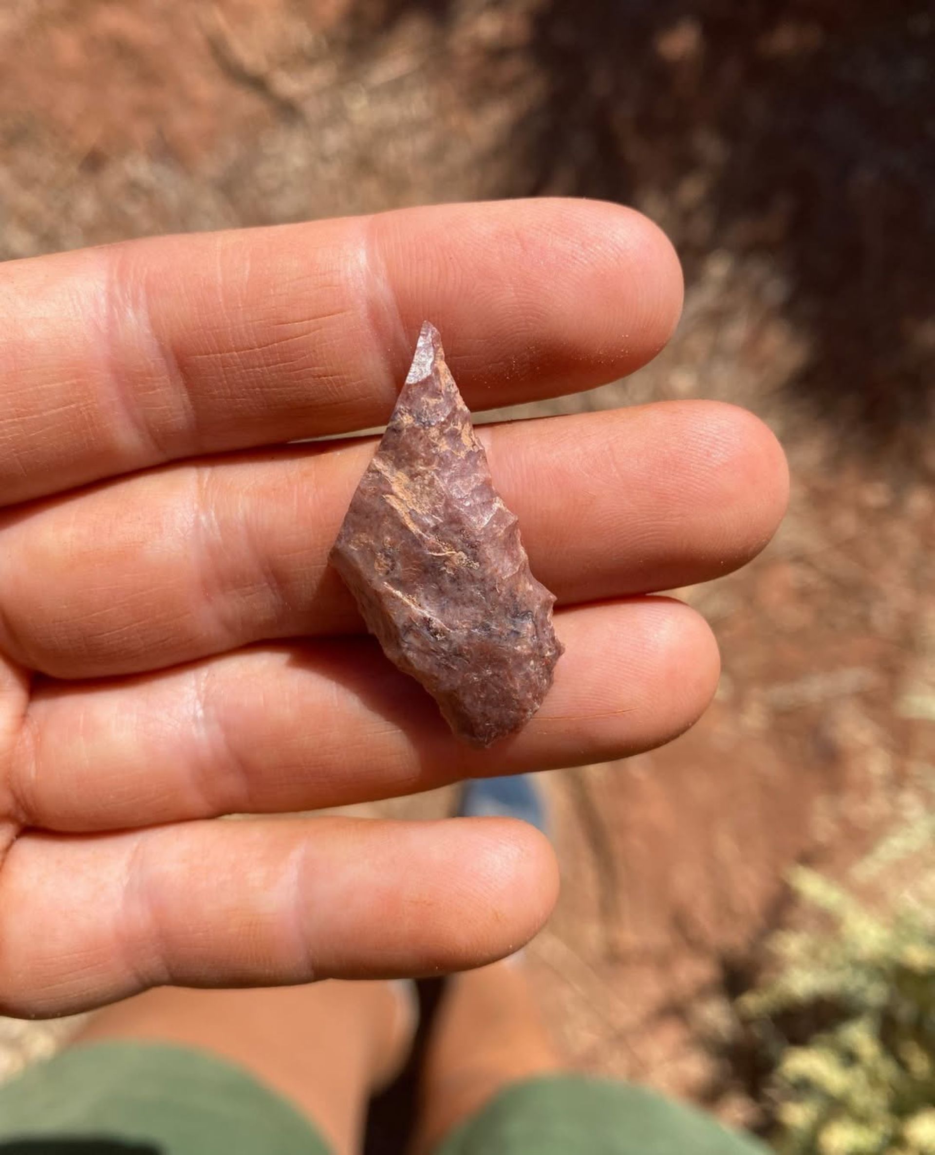 A hand holding a reddish-brown, pointed arrowhead-shaped stone.
