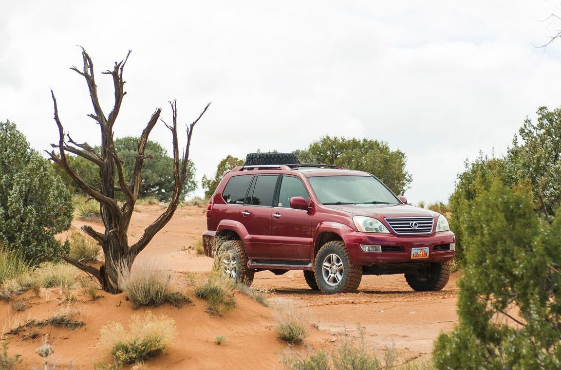 Red SUV driving on a dirt road through a desert landscape with shrubs and a dead tree.