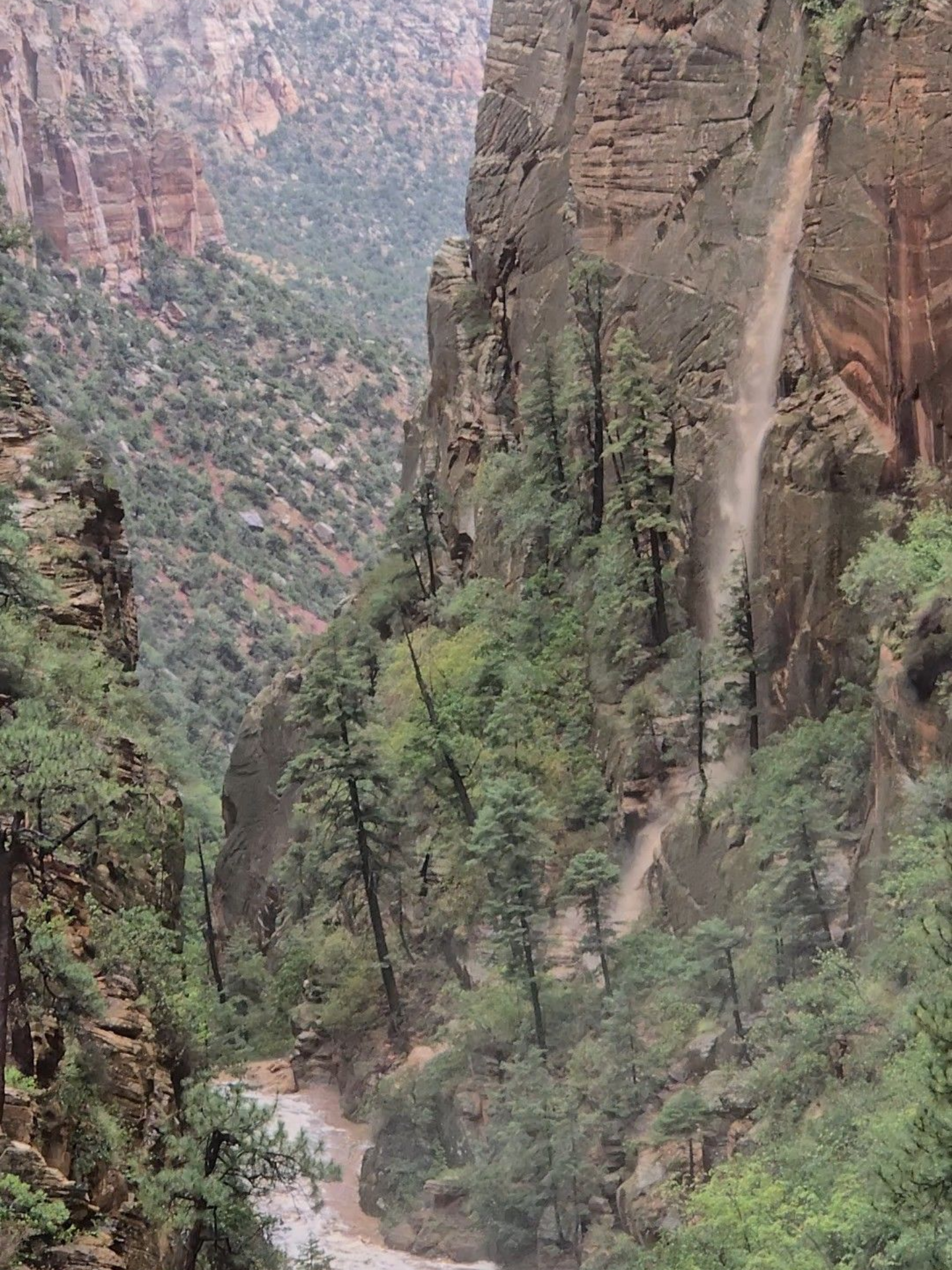 Narrow canyon with steep red cliffs, pine trees, and a winding stream below a waterfall