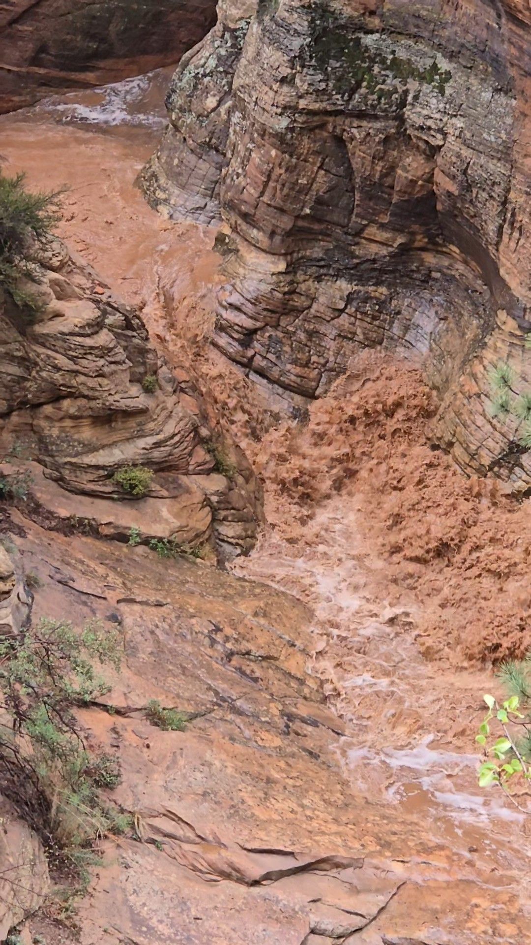 Reddish-brown muddy rock face with a small stream or runoff flowing down a narrow canyon
