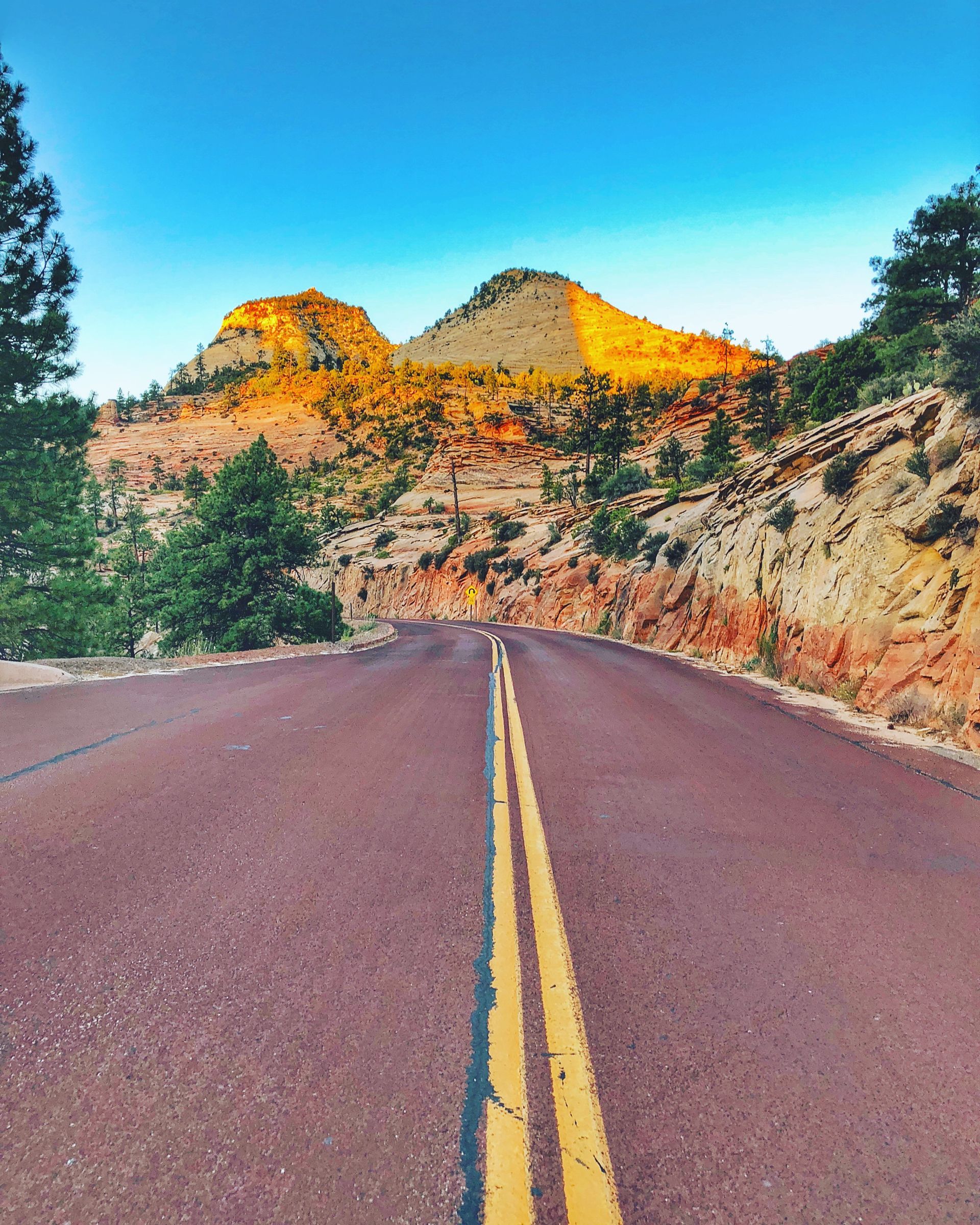 Road curves toward a mountain illuminated by golden sunlight, with trees on either side under a blue sky.