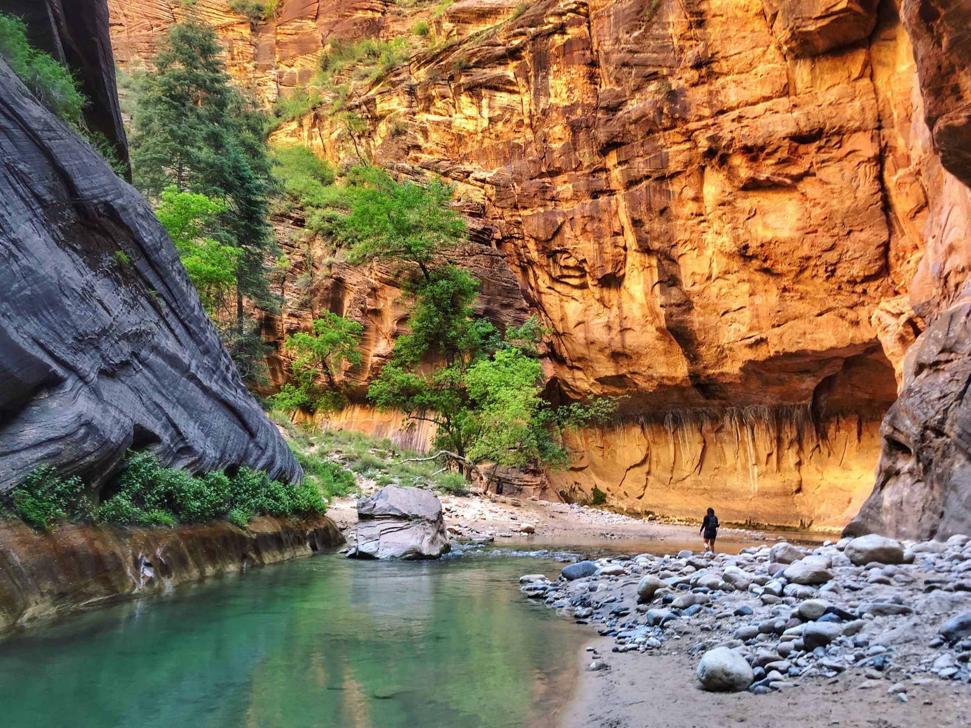River flowing through a canyon, with person wading; tan rock walls and green vegetation.