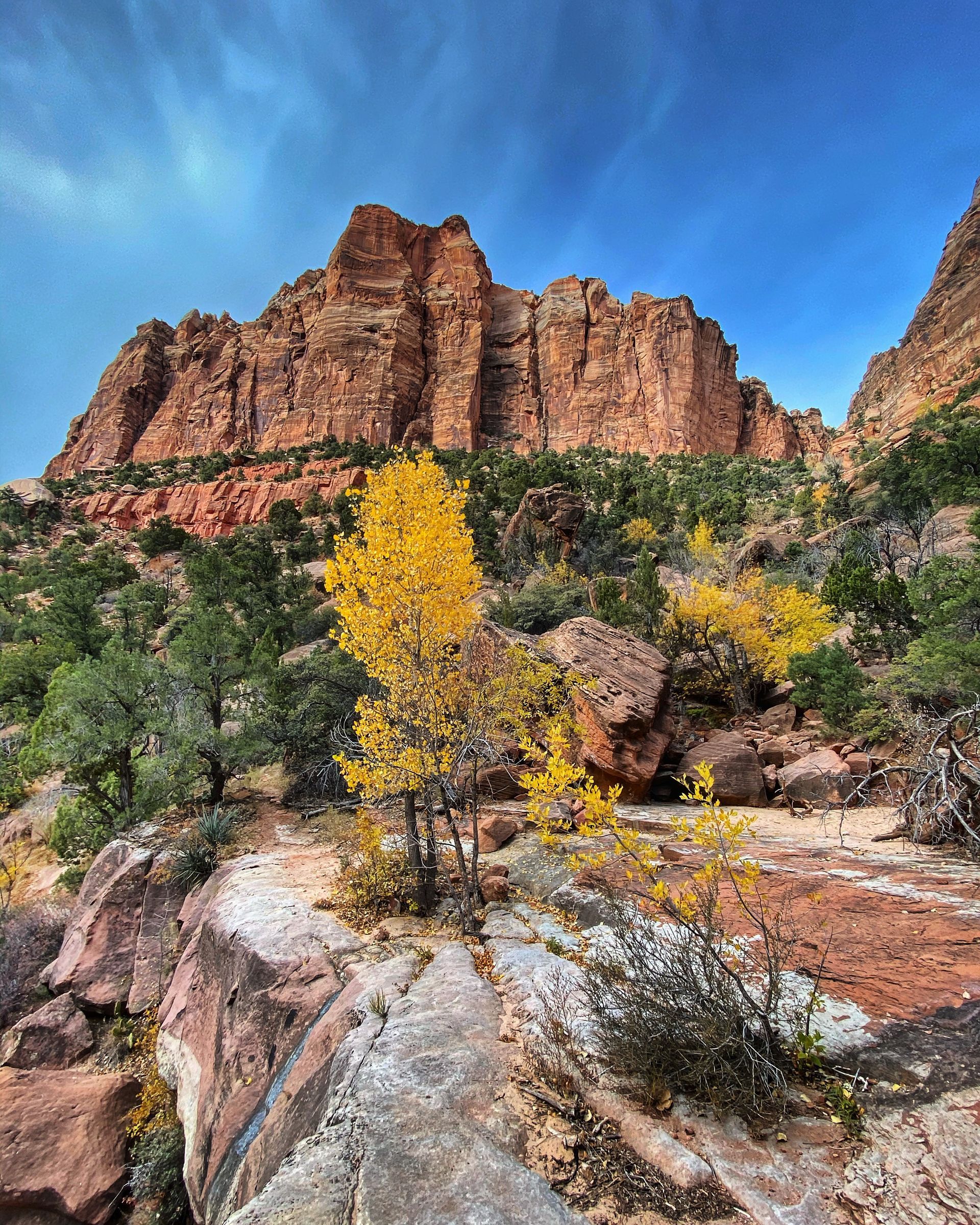 Red rock cliffs rise above yellow fall foliage and green trees under a blue sky.