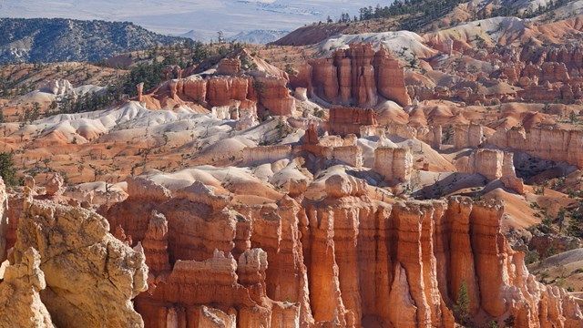 Red and white hoodoos in Bryce Canyon National Park, Utah.