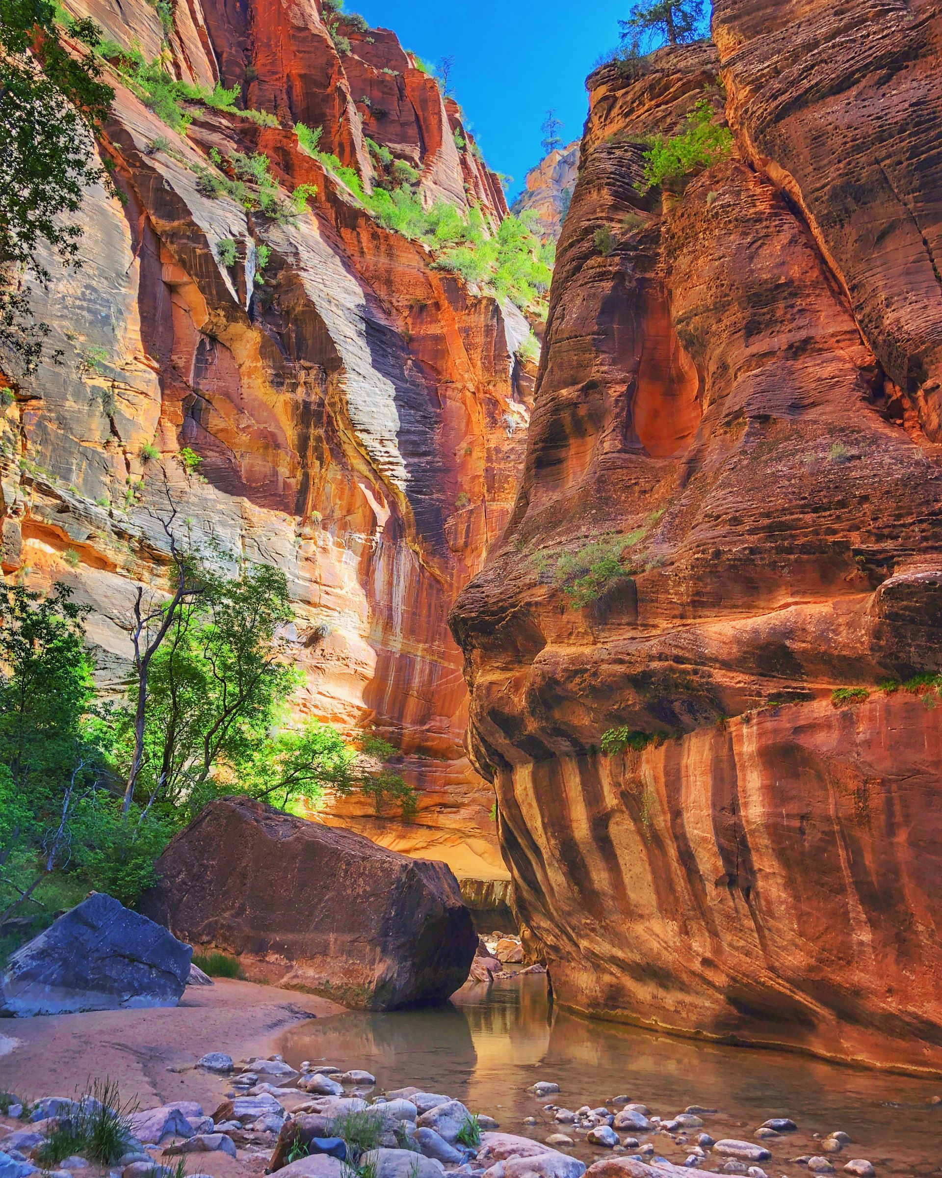 Canyon with red rock walls, green foliage, and a river flowing through.