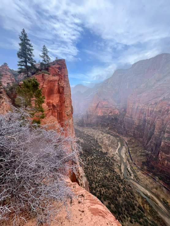 Red rock canyon vista with river, trees, and cloudy sky.