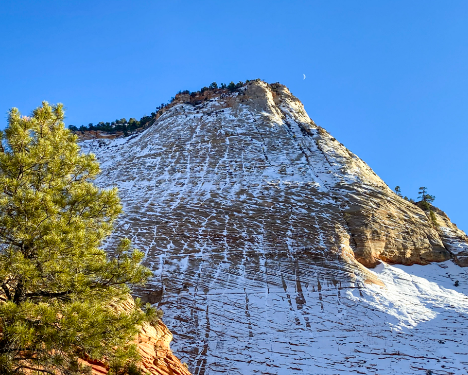 Snow-covered sandstone mountain with sparse trees under a blue sky.