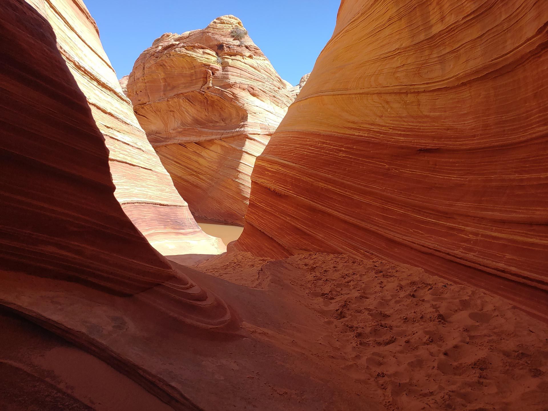 Red and orange sandstone formations in a canyon, sculpted by wind and water, under a bright blue sky.