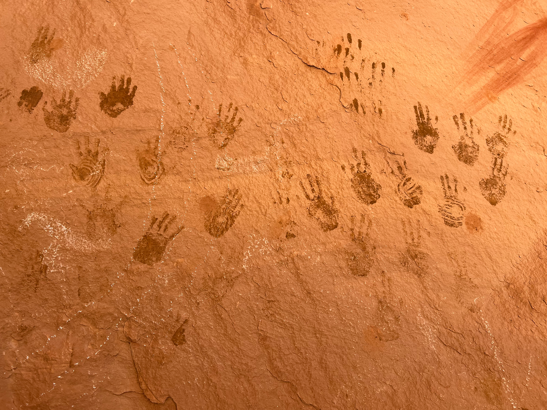 Brown wall with rows of handprints, likely cave art.