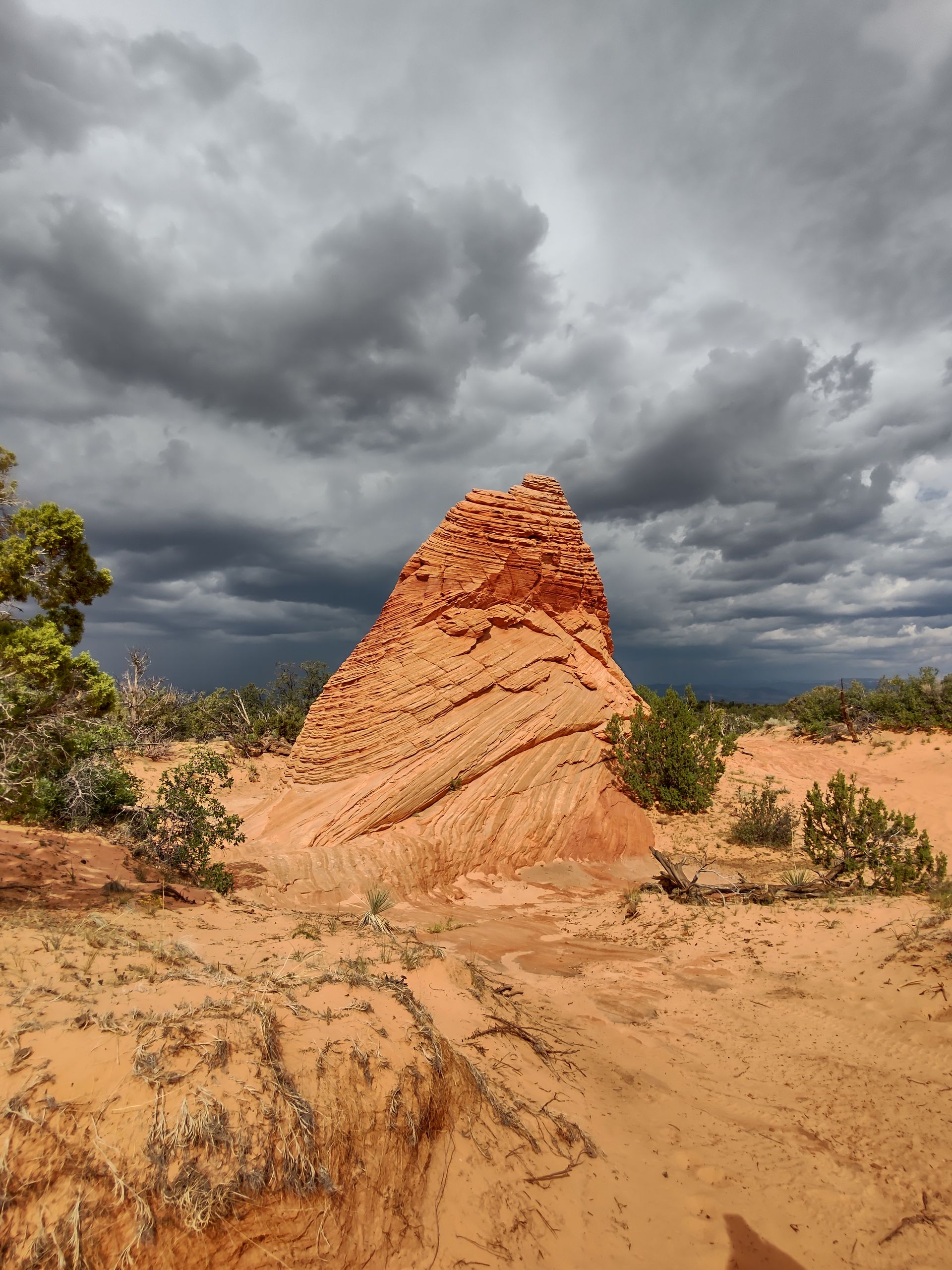 Orange termite mound in a sandy desert under dark storm clouds