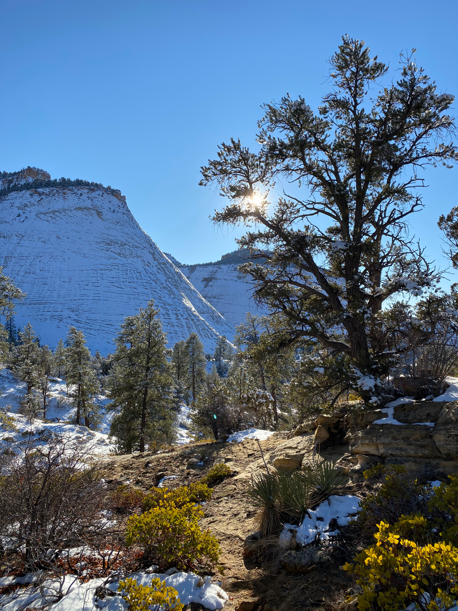 Snowy mountain landscape with trees, a sunny sky, and a dirt path.