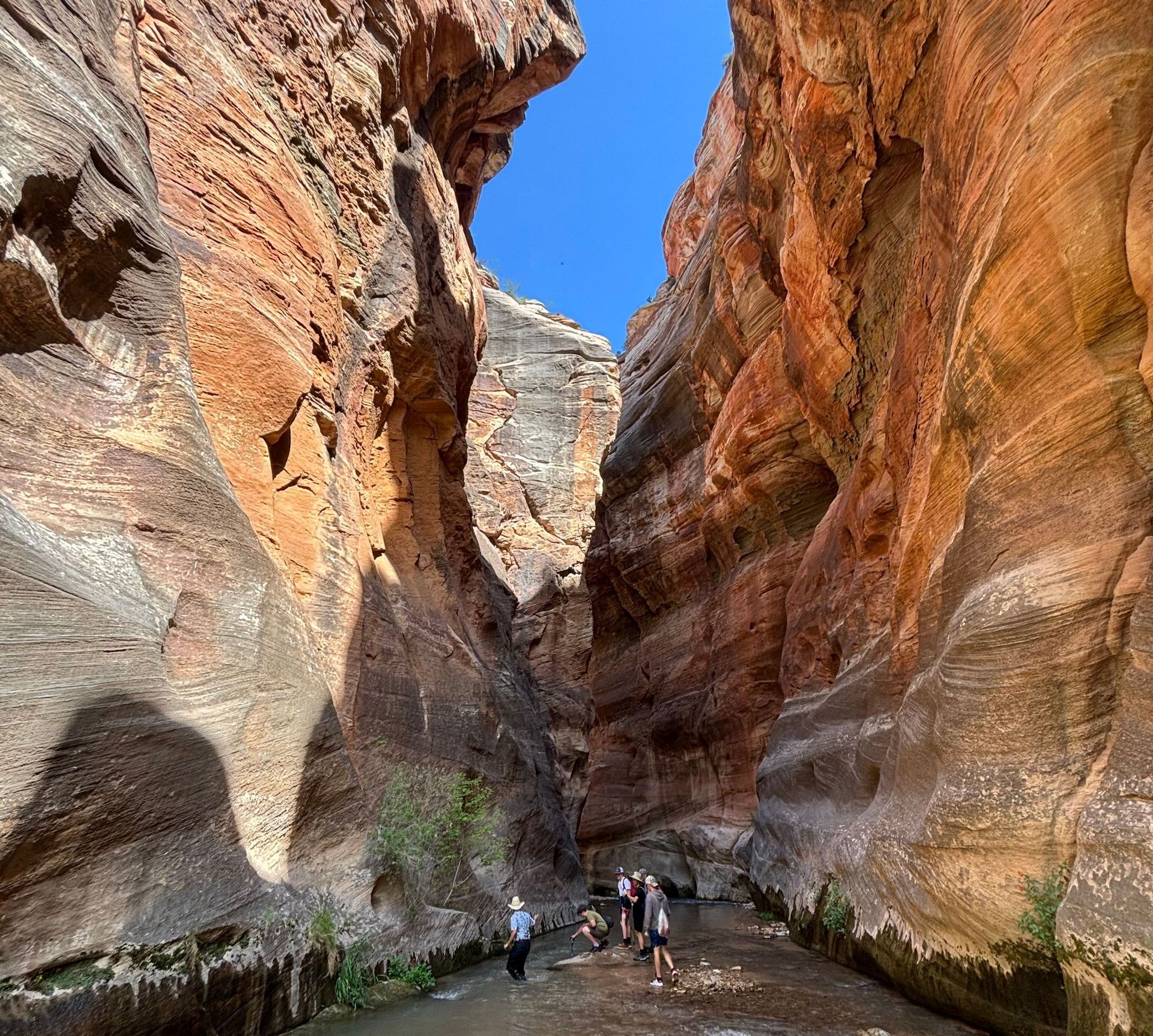 Narrow canyon with red and tan layered rock walls. Several people stand in the shallow water below, looking up at the sky.