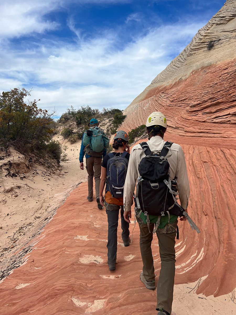 Hiking