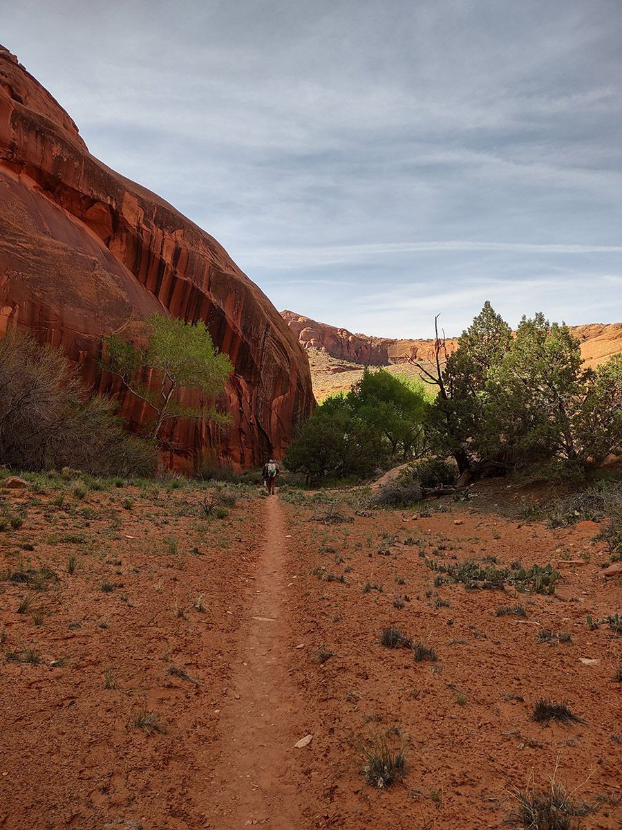 A person is walking down a dirt path in the desert