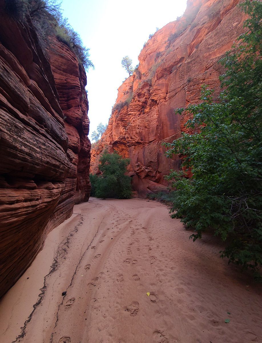 Sandy trail winds through a narrow, red sandstone canyon. Green bushes grow along the edges.