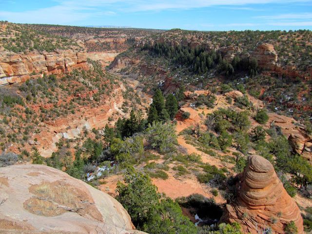 Canyon landscape with red rock formations, green vegetation, and a blue sky. View from above, with a winding path visible.