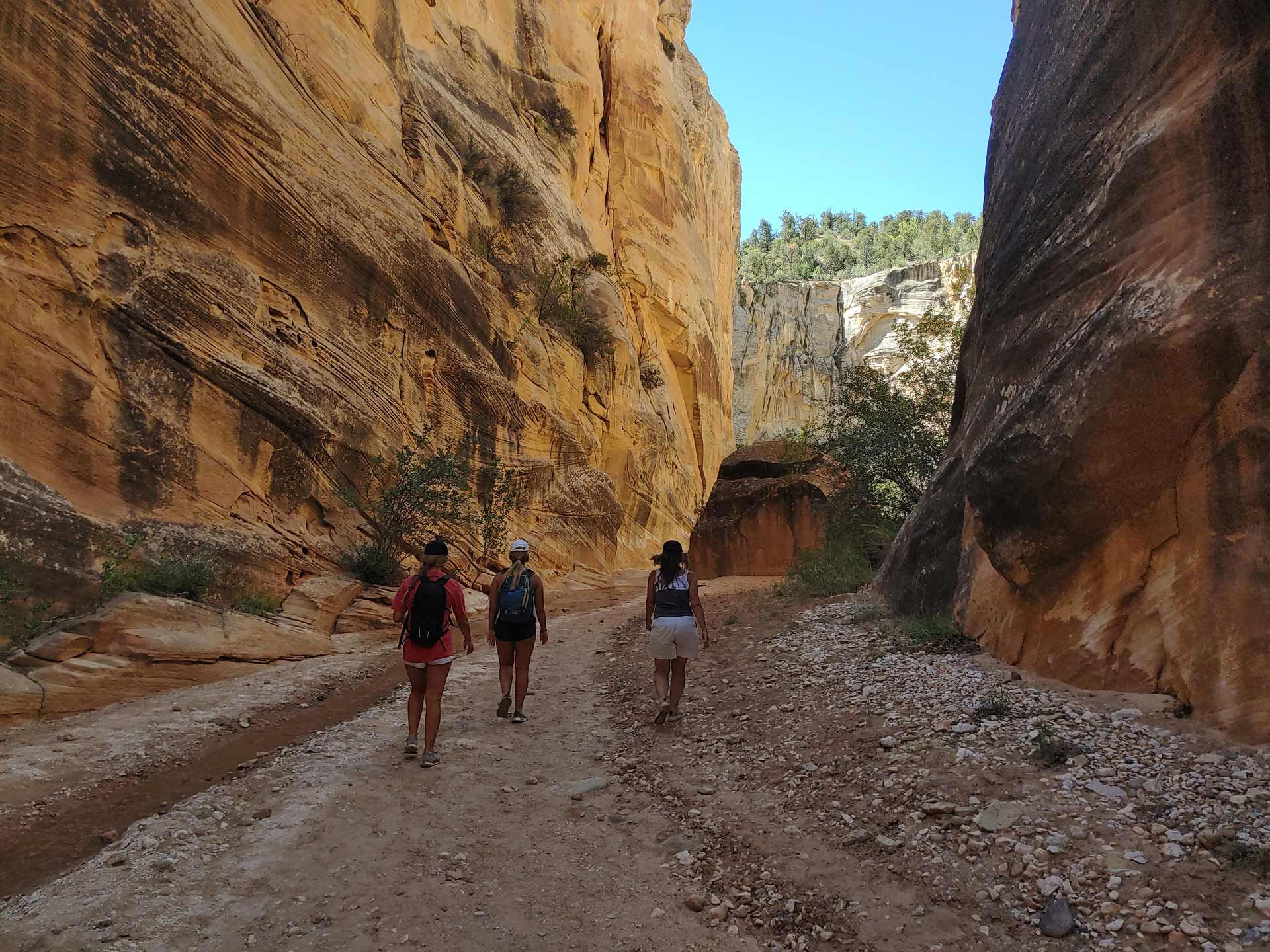 People walk through the Zion Narrows