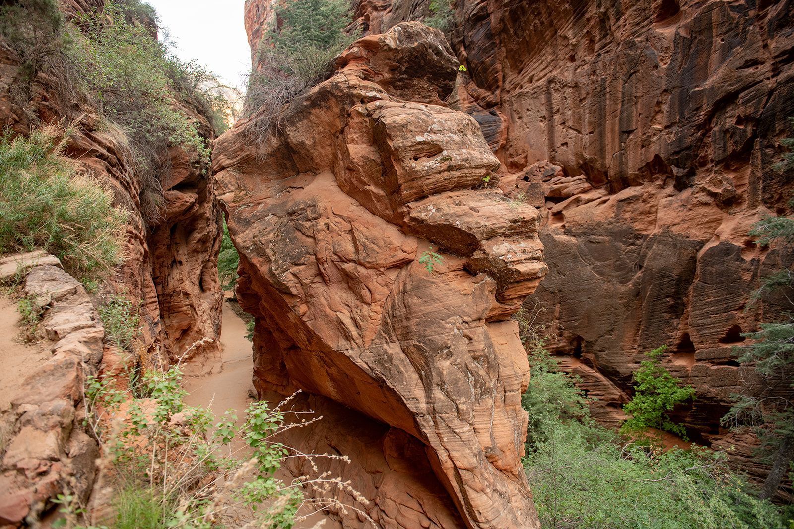 rock formation zion national park