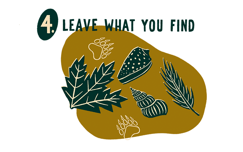 Illustration with text 