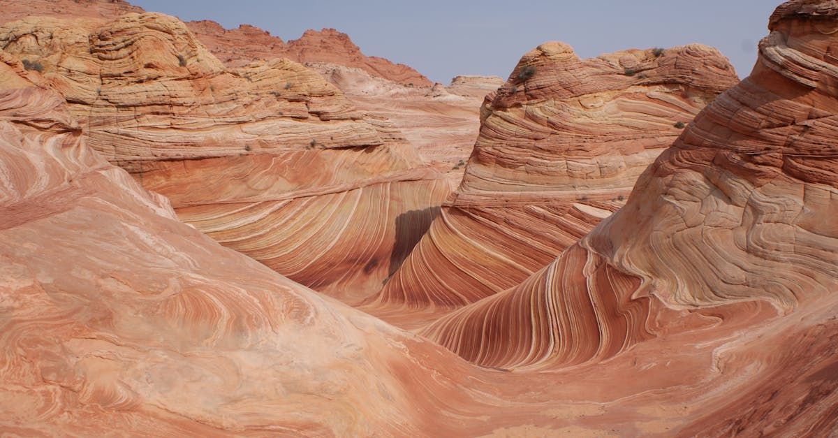 Wavy sandstone formations in shades of red, orange, and tan. Desert landscape sculpted by wind and water.