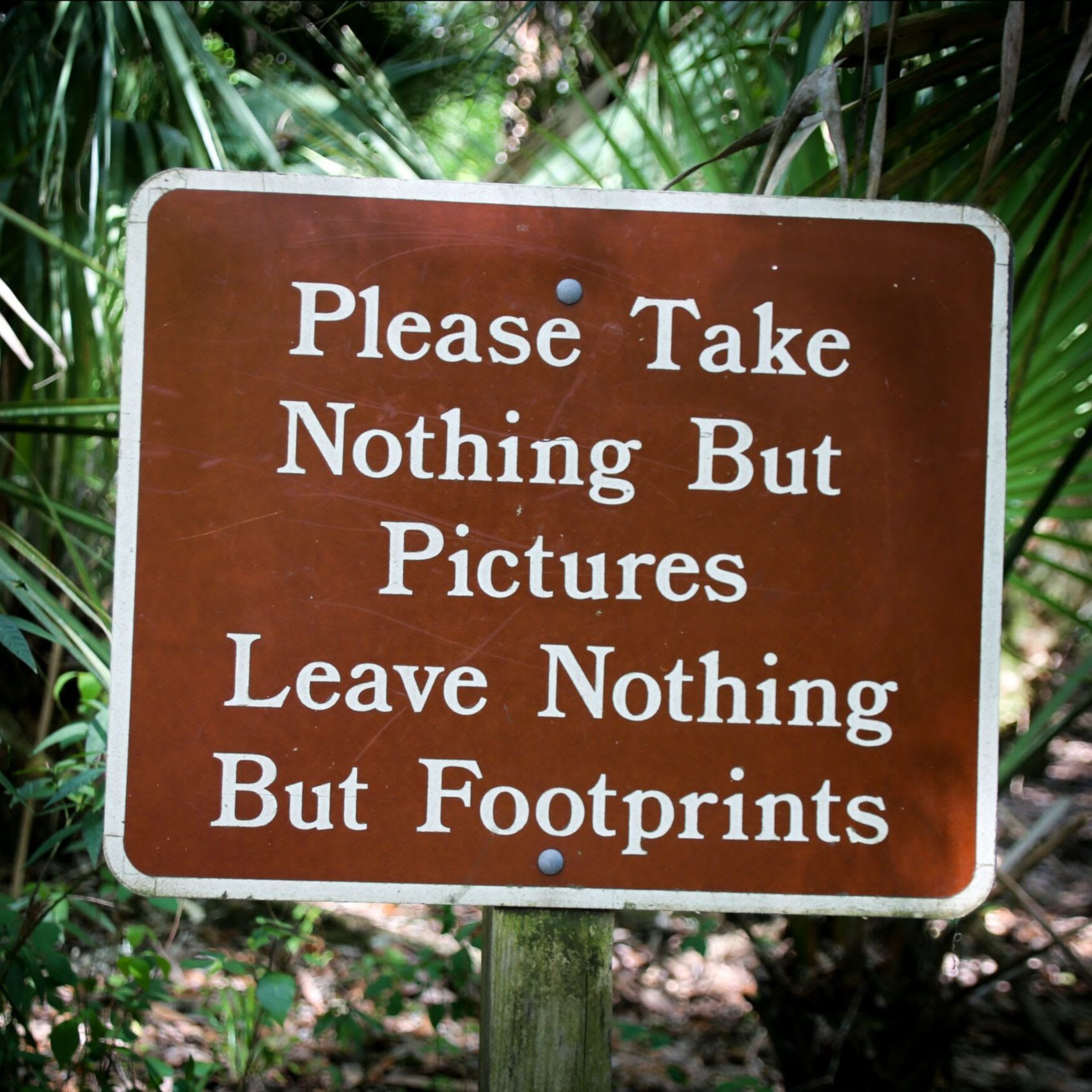 Brown sign in a wooded area reads: 