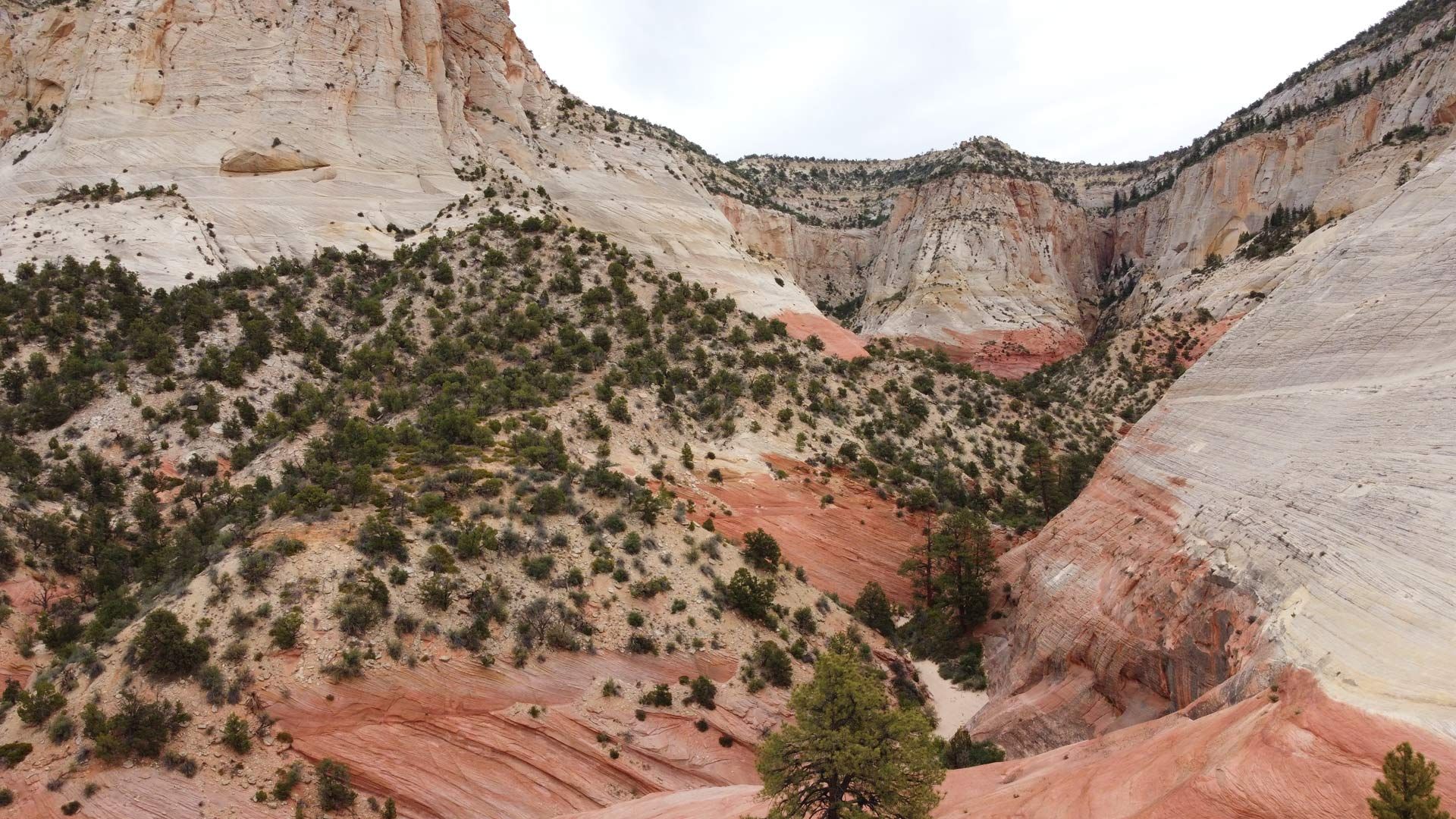 Sandstone canyon with layers of red, tan, and white rock. Green vegetation dots the slopes and valley.