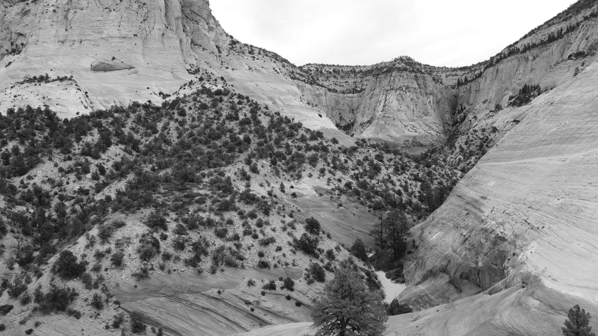 Black and white photograph of a canyon landscape with layered rock formations, scattered trees, and a cloudy sky.