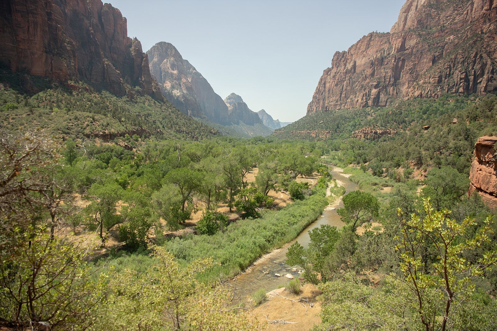 Valley in Zion National Park with river, trees, and red rock cliffs under a clear sky.