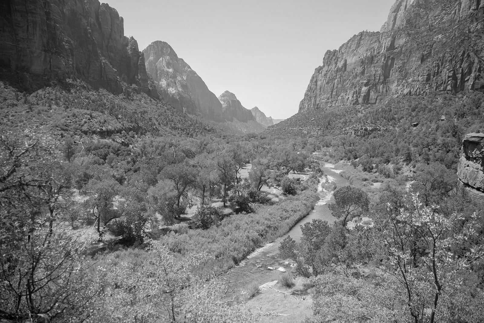 Valley with trees and a river, surrounded by tall cliffs, under a bright sky.