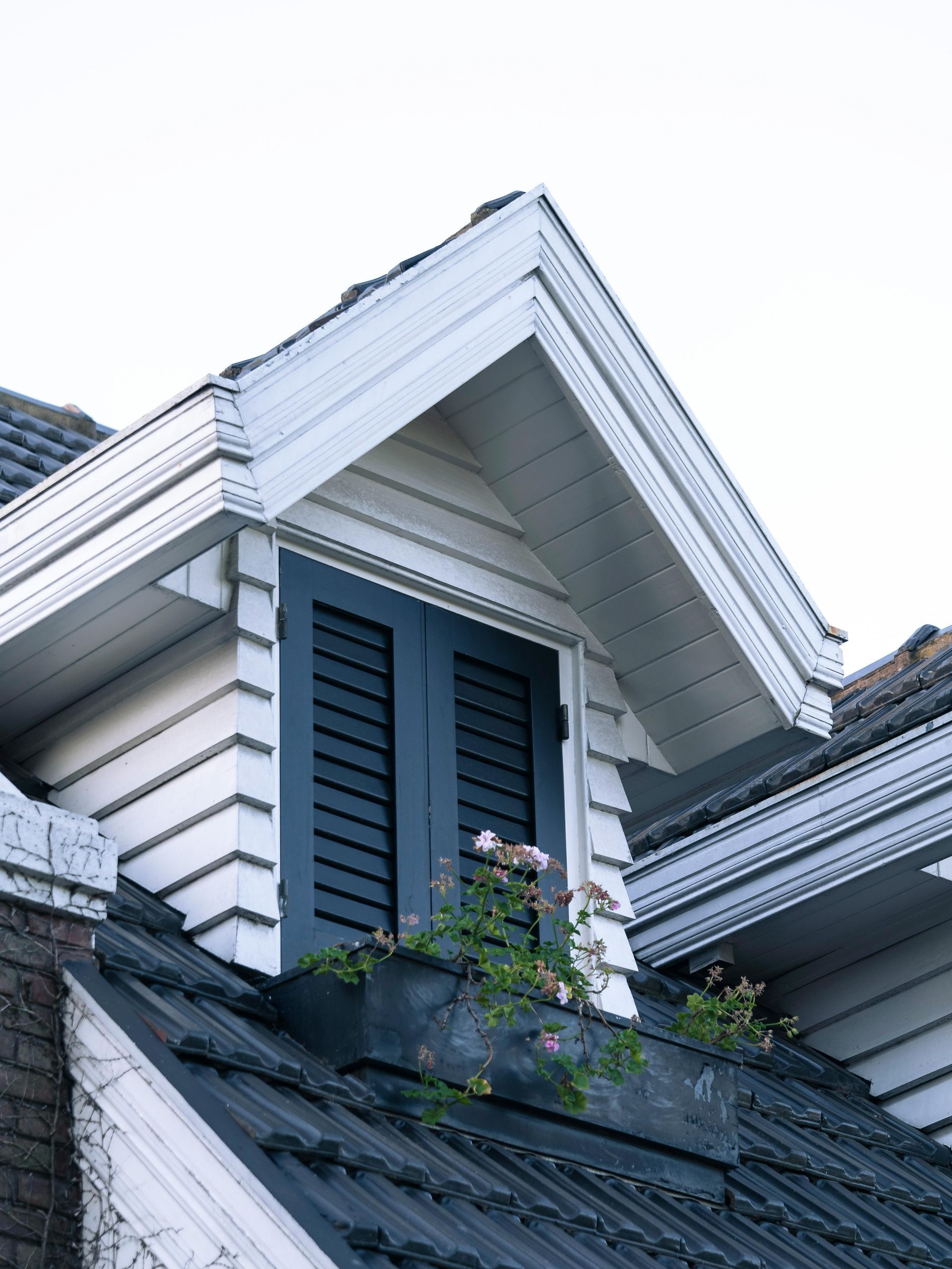 White house dormer with blue shutters and flower box above a dark shingled roof
