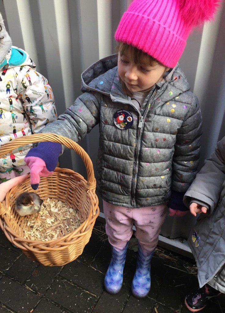 Child in a pink hat and gray coat holding a wicker basket with a rabbit, standing outdoors